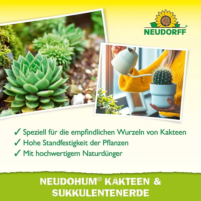 Neudorff NeudoHum Kakteenerde - 3 l, Torffrei - NEUDORFF NEUDOHUM® Kakteen- & Sukkulentenerde. Für empfindliche Wurzeln, hohe Standfestigkeit und mit Naturdünger.