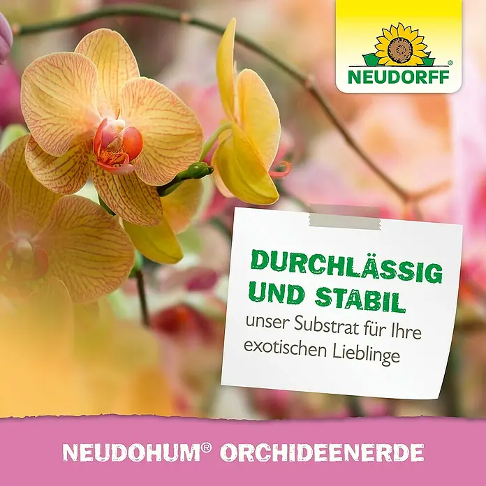 Neudorff NeudoHum Orchideenerde - 3 l - Neudohum Orchideenerde, ein Substrat für exotische Pflanzen, sorgt für Durchlässigkeit und Stabilität.