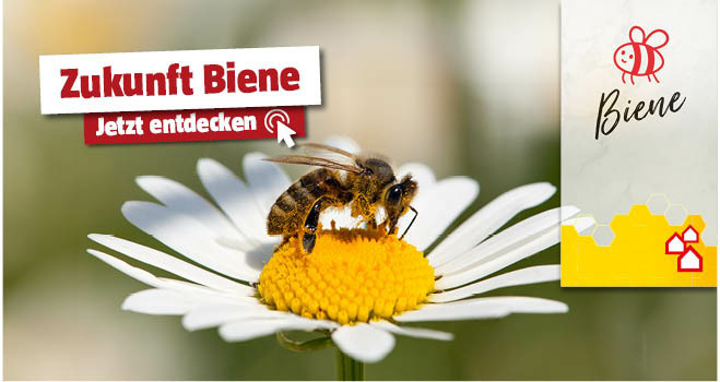 Zukunft Biene