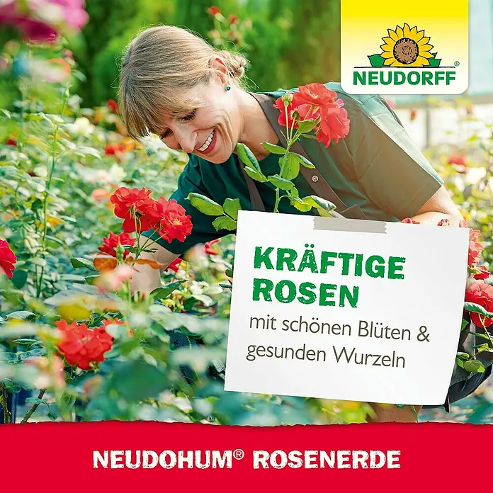 Neudorff NeudoHum Blumenerde - 20 l - Gärtnerin pflegt Rosen mit Neudohum Rosenerde. Kräftige Rosen mit schönen Blüten und gesunden Wurzeln dank Neudorff.
