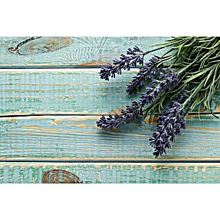 Lavendel (Lavendula angustifolia 'Hidcote Blue', Topfvolumen: 2 l, Blauviolett)