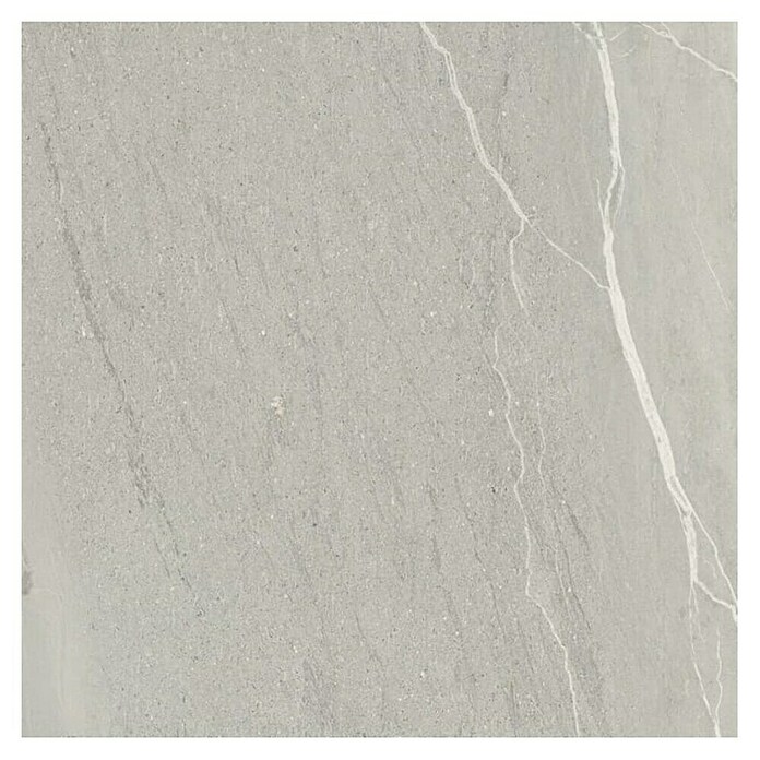 Cersanit Stenska ploščica Lake Stone  (59,8 x 59,8 cm, Siva, Mat) | Stenske ploščice | Ploščice | Izdelki | BAUHAUS