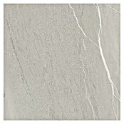 Cersanit Stenska ploščica Lake Stone  (59,8 x 59,8 cm, Siva, Mat) | Stenske ploščice | Ploščice | Izdelki | BAUHAUS