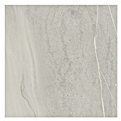 Cersanit Stenska ploščica Lake Stone  (59,8 x 59,8 cm, Siva, Mat) | Stenske ploščice | Ploščice | Izdelki | BAUHAUS