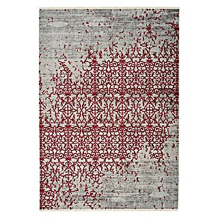 Kayoom Kurzflorteppich Baroque (Grau/Rot, 290 x 200 cm, 100 % Polyester)