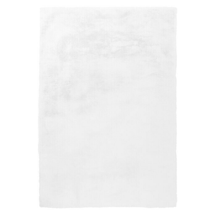 Kayoom Hochflorteppich (Weiß, 170 x 120 cm)
