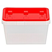 Wisent Aufbewahrungsbox (L x B x H: 90 x 135 x 84 mm, Kunststoff, Rot, Transparent) | BAUHAUS