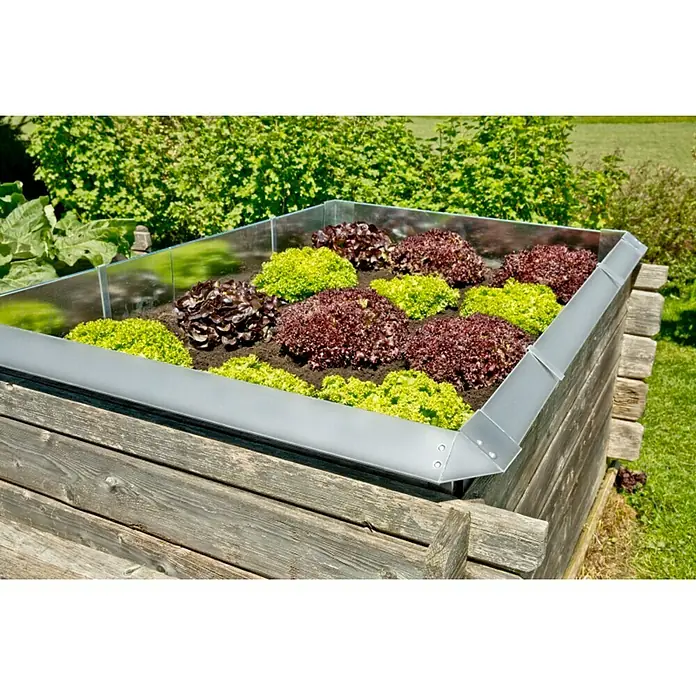 Windhager Schneckenblech Zaun-Element - Stahl, L x H: 115 x 25 cm - Hochbeet mit Salatpflanzen in verschiedenen Farben und einem Metallrahmen zum Schutz vor Schädlingen.