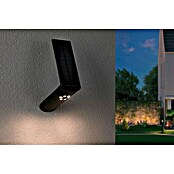 Paulmann Ilias LED-Solar-Außenwandleuchte (Bewegungsmelder, 1,2 W, Lichtfarbe: Warmweiß, Anthrazit, Kunststoff)