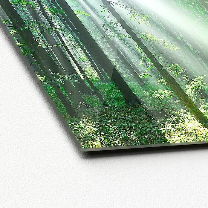 ProArt Glasbild - Forest Harm. III, B x H: 30 x 30 cm - Diese Wald Glasbild zeigt einen dichten Wald mit Sonnenstrahlen, die durch die Bäume scheinen. Das Bild ist auf hochwertigem Glas gedruckt.