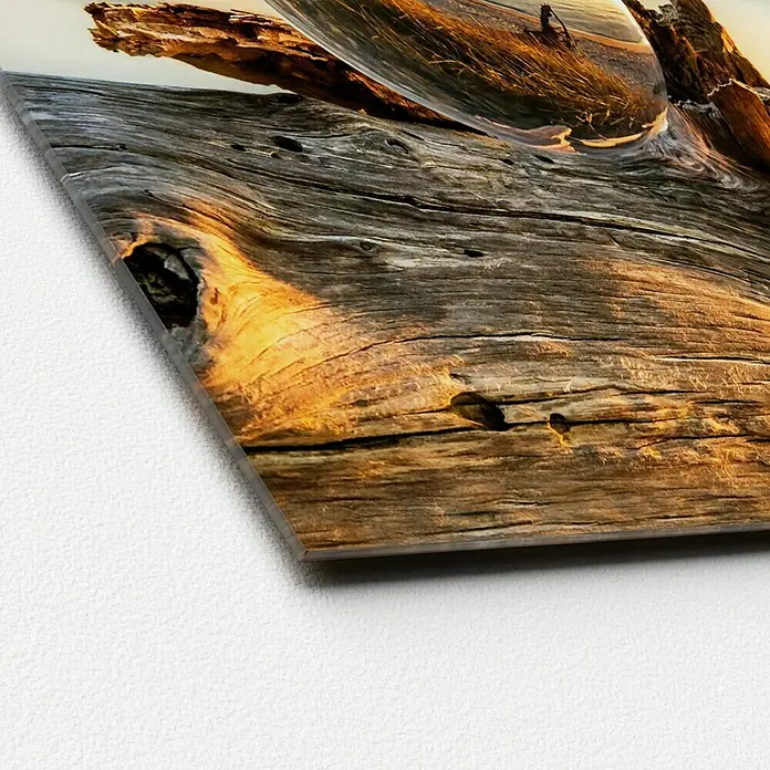 ProArt Glasbild - Drop on Wood, B x H: 30 x 30 cm - Nahaufnahme einer Acrylglasplatte mit einem faszinierenden Landschaftsbild, das durch eine Glaskugel verzerrt wird. Einzigartige Wanddekoration.