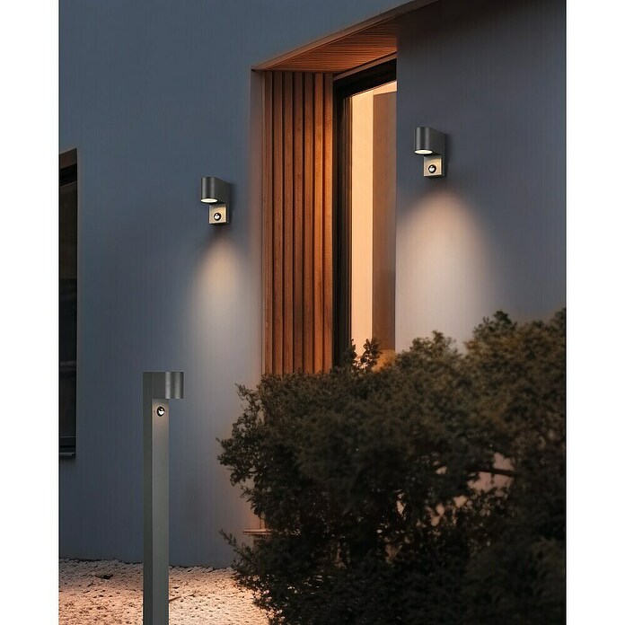 Trio Lighting Wandlamp voor buiten Roya (35 W, l x b x h: 11,6 x 7 x 15 cm, Grijs, IP44) | BAUHAUS