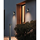 Trio Lighting Wandlamp voor buiten Roya (35 W, l x b x h: 11,6 x 7 x 15 cm, Grijs, IP44) | BAUHAUS