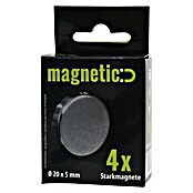 Magnetplatte, 30x20 cm, Stärke: 0,6 mm, 1Bl.