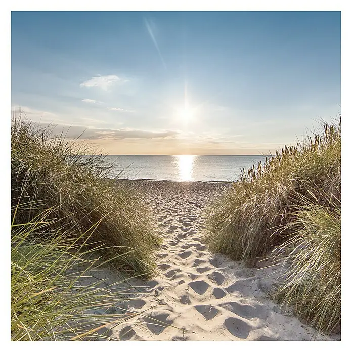 ProArt Glasbild - Nordsee, B x H: 50 x 50 cm - Blick auf einen Sandweg zum Strand, flankiert von Grasbüscheln im sanften Licht des Sonnenuntergangs.