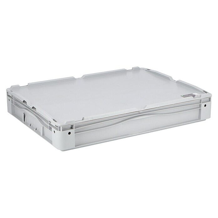 Surplus Systems Euro škatla  (Do x Š x V: 80 x 60 x 12 cm, Plastika, Sive barve) | 1401 - Boxen Körbe Wannen Kunststoff | AAJA - Boxen_Körbe_Wannen | AAJ - Aufbewahrung | AA - Eisenwaren | A - Eisenwaren | BAUHAUS