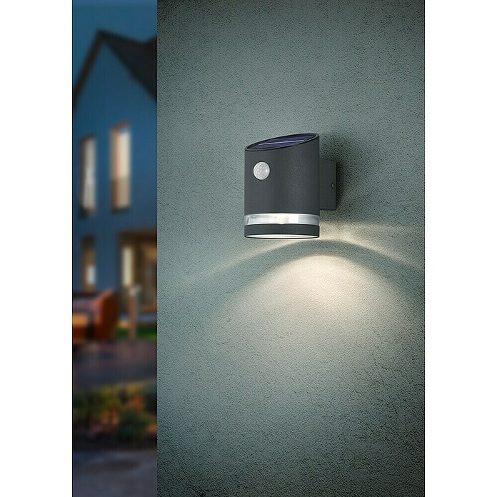 Reality Leuchten Solar-LED-Strahler SALTA (3 W, IP44) | BAUHAUS