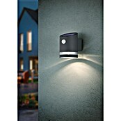 Reality Leuchten Solar-LED-Strahler SALTA (3 W, IP44) | BAUHAUS