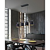 Reality Leuchten Lámpara colgante (4 x 7 W, Negro/Dorado, Altura: 150 cm)