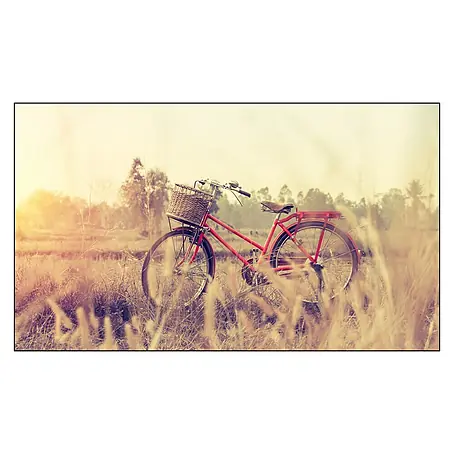 Cuadro Red cycle