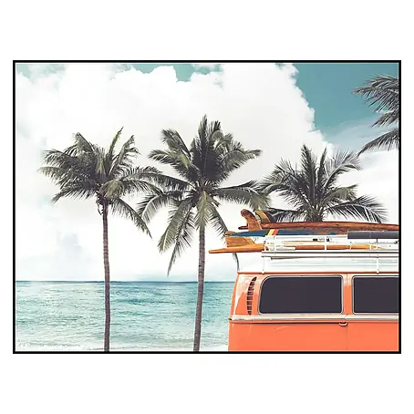 Cuadro Palms
