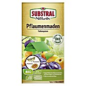 Celaflor Naturen Pflaumenmaden-Falle (1 Set)