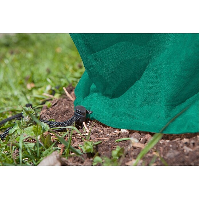 Windhager Winterschutzvlies Rosen-Haube (B x H: 75 cm x 1 m, Grün, Grammatur: 30 g/m², 3 Stk.)