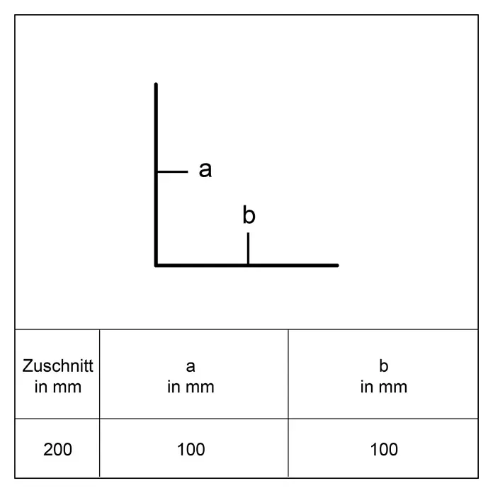 Sarei Winkelprofil PP17 - L x B x H: 1.250 x 100 x 100 mm, Aluminium, Anthrazit - Diagramm eines L-Profils mit Maßen a=100mm und b=100mm. Gesamtschnittlänge ist 200mm.