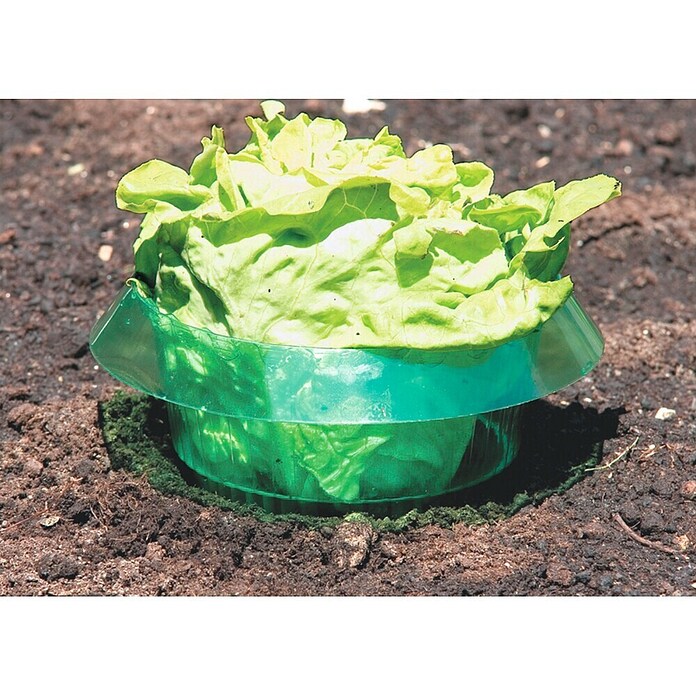 Windhager Schnecken-Stopp (D x H: 23 x 11 cm, 6 Stk.)