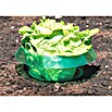 Windhager Schnecken-Stopp (D x H: 23 x 11 cm, 6 Stk.)