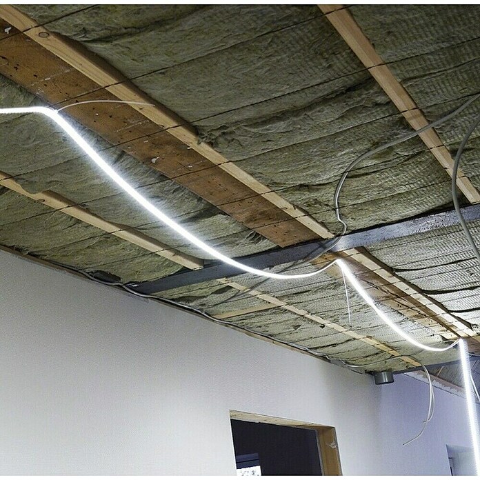 LED traka na bubnju  (10 W, 750 lm, Duljina: 25 m, Boja svjetla: Hladna bijela) | BAUHAUS