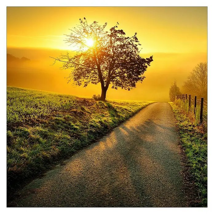 ProArt Glasbild - Way to Horizon, B x H: 30 x 30 cm - Eine malerische Landstraße bei Sonnenaufgang, die von einem Baum und goldenem Licht gesäumt wird.