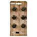 Nesu Pomo para muebles Plano 