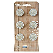 Nesu Pomo para muebles (Diámetro: 34 mm, Blanco/Bronce, 6 ud.) | BAUHAUS