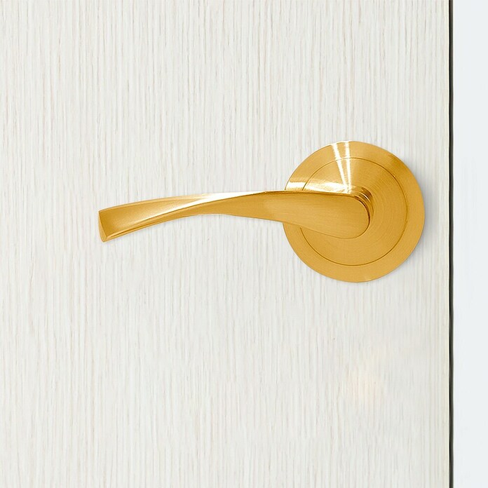 Micel Conjunto de picaporte 707 (Aluminio, Curvado, Latón) | BAUHAUS