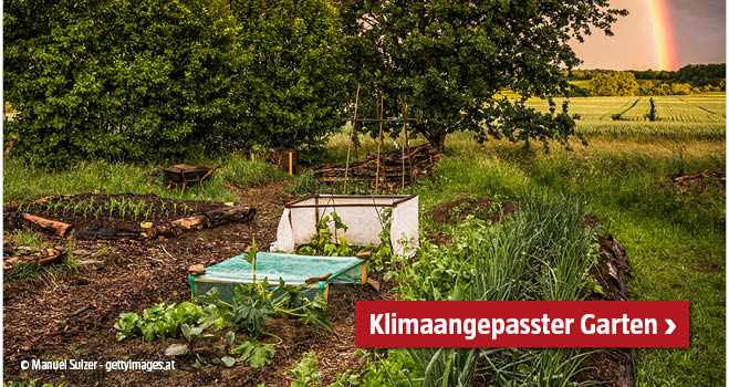 Klimaangepasster Garten
