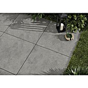 Cersanit Terrassenfliese Metropolis 2.0 (59,3 x 59,3 x 2 cm, Grey, Matt) | BAUHAUS
