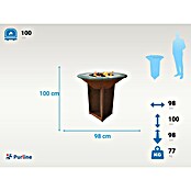 Purline Barbacoa de carbón EFP56CO (Diámetro de la superficie de la parrilla: 98 cm, Óxido) | BAUHAUS