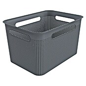 Rotho Aufbewahrungsbox Brisen (L x B x H: 36 x 26,2 x 21,1 cm, Polypropylen, Blau)