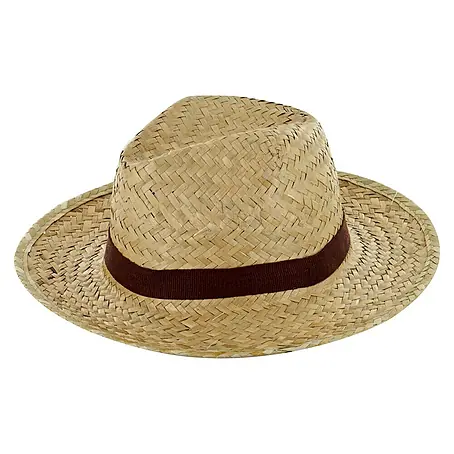 Sonnenhut Jr