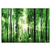 ProArt Cuadro Alu-Art (Feeling, An x Al: 100 x 70 cm) | BAUHAUS