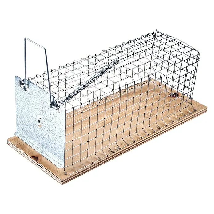 Swissinno Classic Drahtkasten-Rattenfalle - Lebendfalle - Eine Lebendfalle für Mäuse, aus Drahtgeflecht und Holz, zur tierfreundlichen Schädlingsbekämpfung.