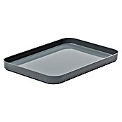 SmartStore Deckel Compact (L x B x H: 29 x 20 x 2,5 cm, Kunststoff, Grau)