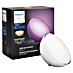 Philips Hue Led-tafellamp Go 
