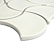 Mosaikfliese Fächer Uni FS 19I (27,6 x 27,6 cm, Elfenbein, Glänzend)