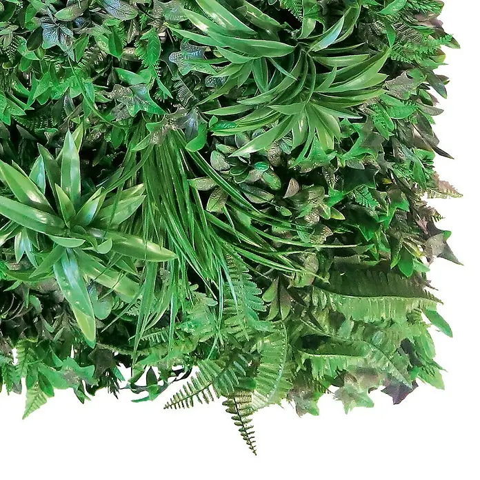 Nortene Jardín vertical Tropic - Plástico, L x An: 100 x 100 cm - Primer plano de una exuberante pared de jardín vertical, con varios tonos de verde y texturas, creando un ambiente natural y vibrante.