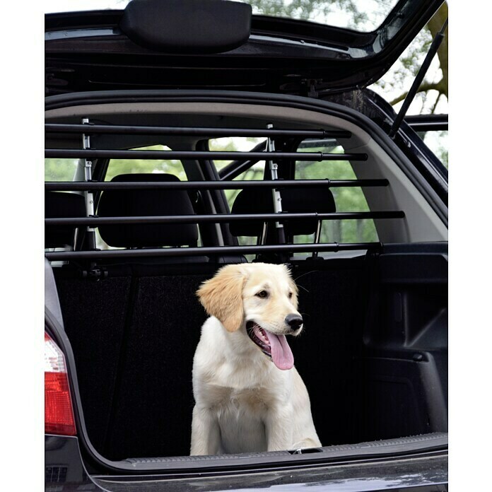 Auto Gitter Hund – Die 15 besten Produkte im Vergleich