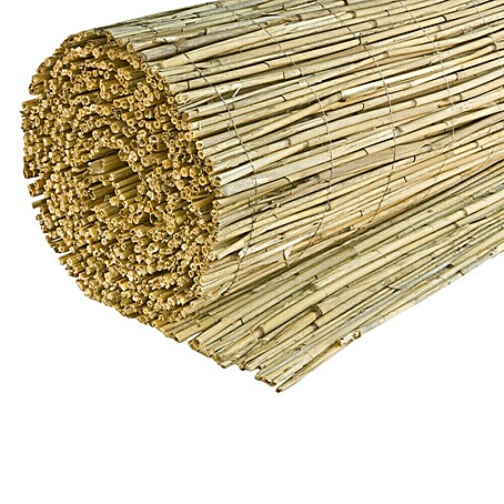 Windhager Sichtschutzmatte Nantai (L x H: 600 x 100 cm, Schilfrohr)