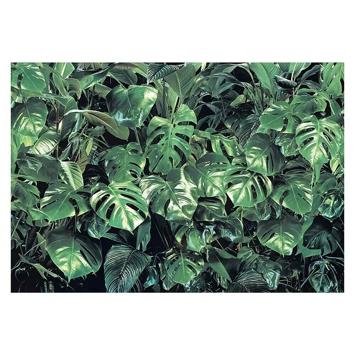 Komar Fototapete Verdure - 8 -tlg., B x H: 368 x 254 cm, Papier - Üppiges Arrangement tropischer grüner Blätter, das die Schönheit und Vitalität der Natur zur Geltung bringt.
