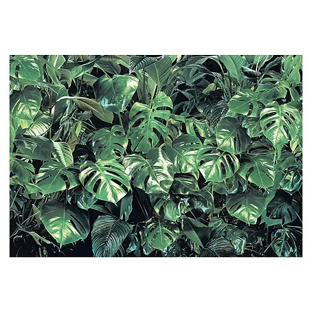 Komar  Fototapete Verdure